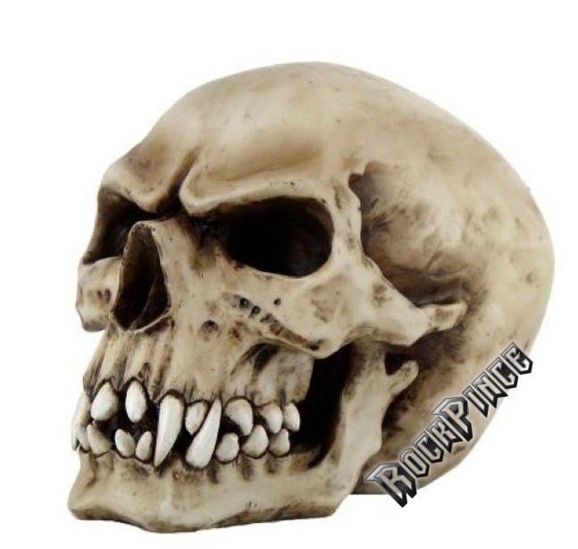 Orc Skull - koponya - 766-248