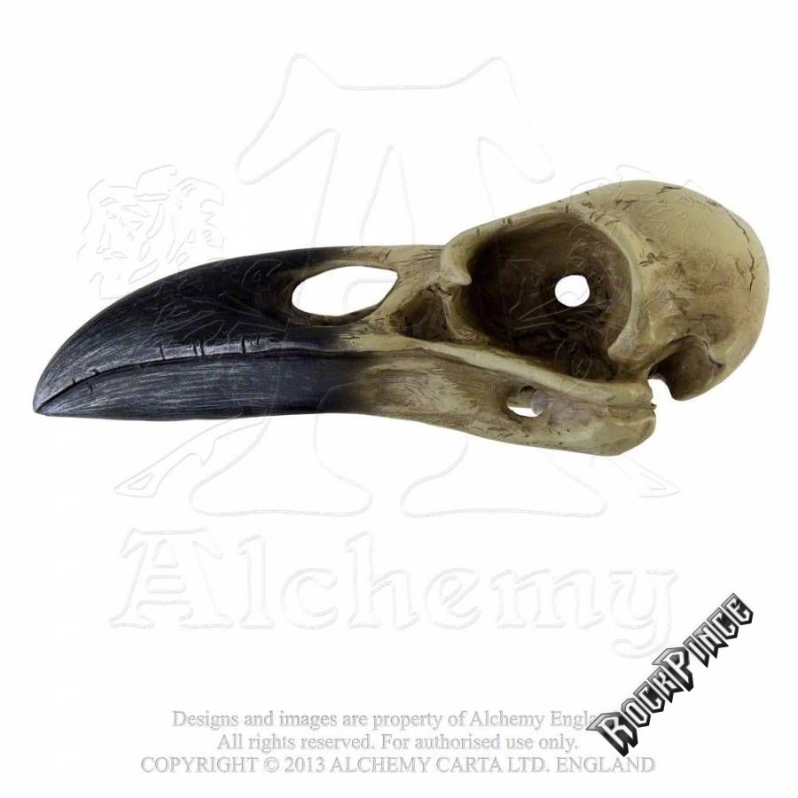 Alchemy - Corvus Alchemica - hollókoponya V16