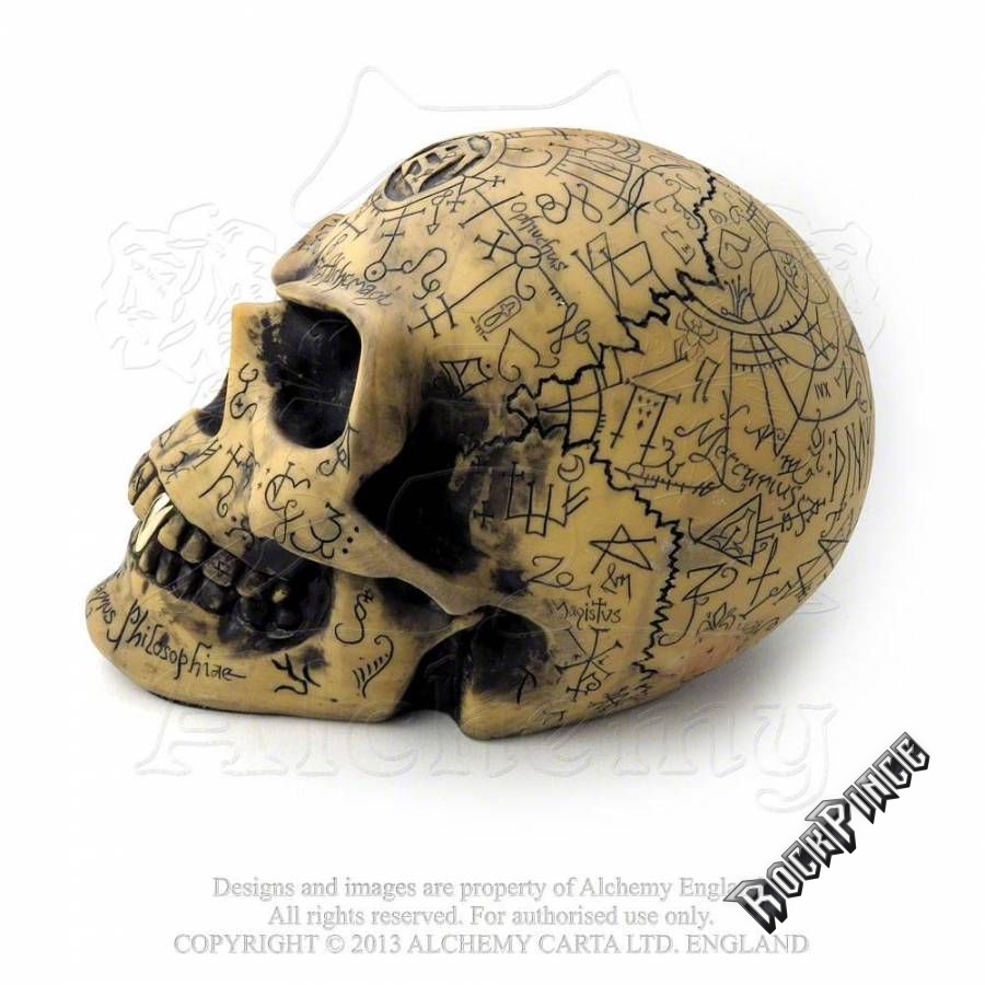 Alchemy - Omega Skull - koponya V1