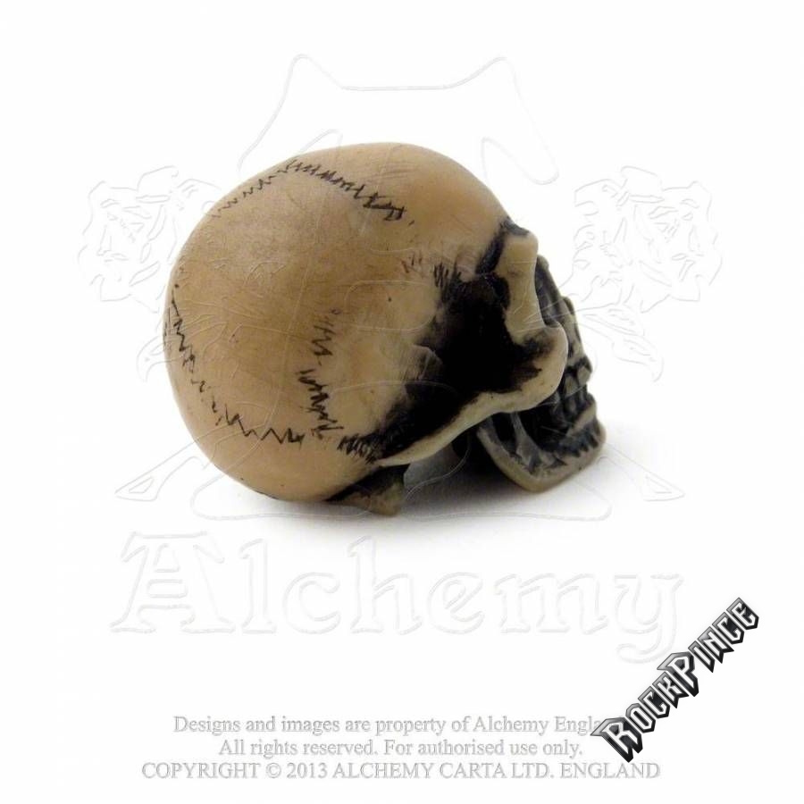 Alchemy - Lapillus Worry Skull - kiskoponya V2