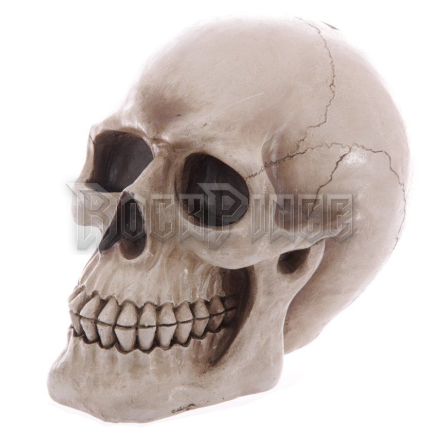 SKULL - PERSELY / NAGY - MB185