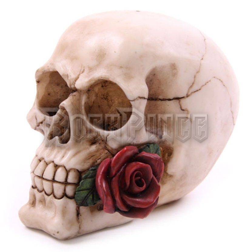 Skull With Roses - koponya - SK123/A