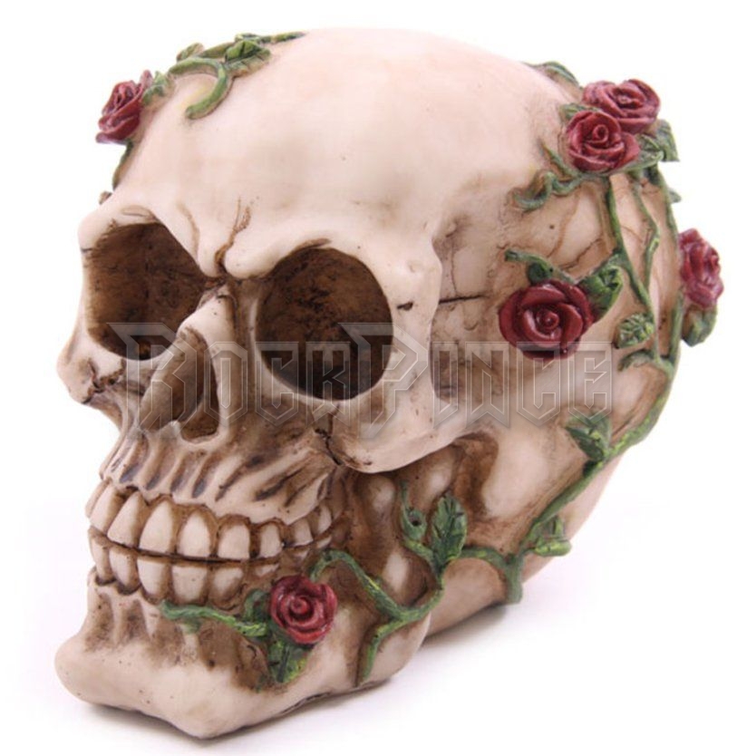 Skull with Roses - koponya - SK123/B