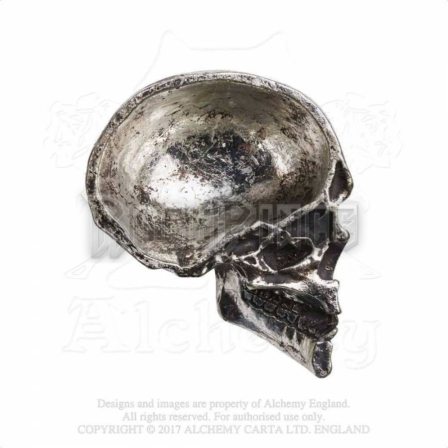 Alchemy - Half Skull - ékszertartó V60