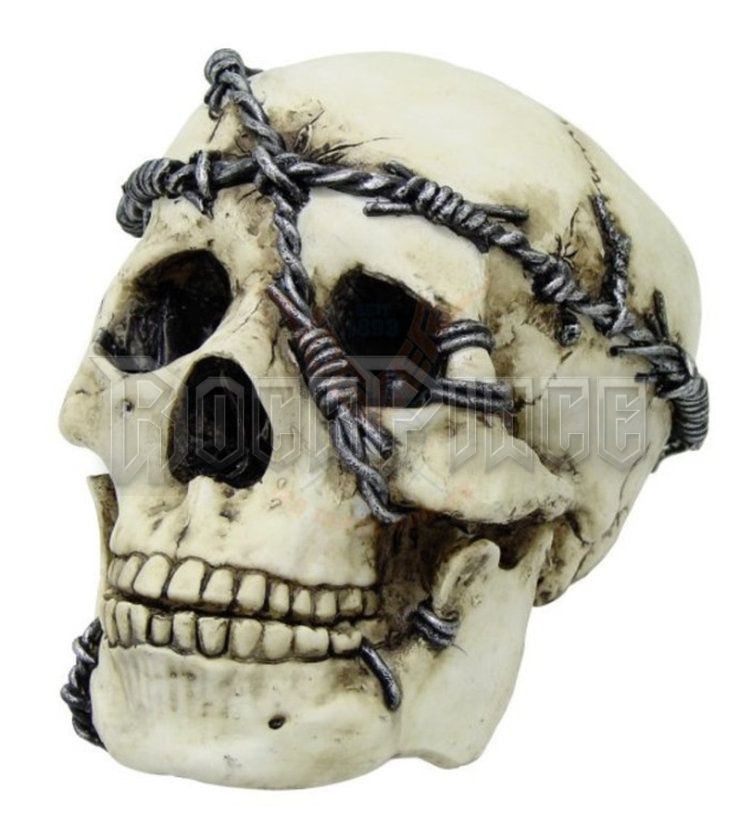 Skull With Barbed - koponya - 766-5685