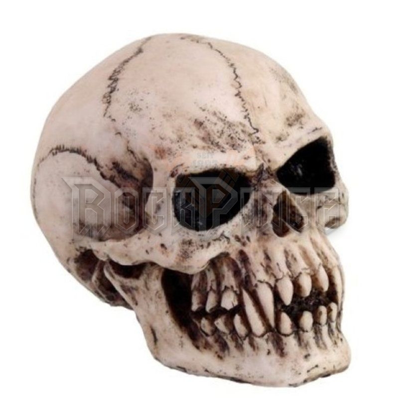 Small Vampire Skull - vámpír koponya - 766-6478