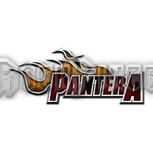 Pantera: Flame Logo - Kitűző / Fémjelvény - PANTPIN04