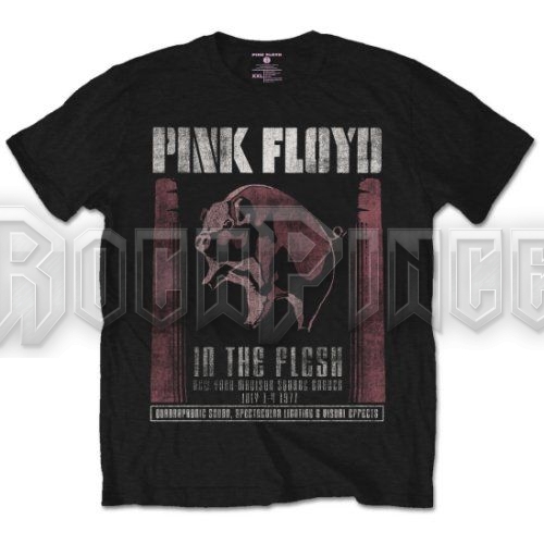 Pink Floyd - In the Flesh - unisex póló - PFTEE54MB