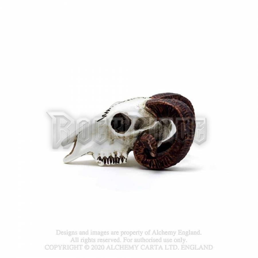 Alchemy - Rams Skull - miniatűr koponya - VM1