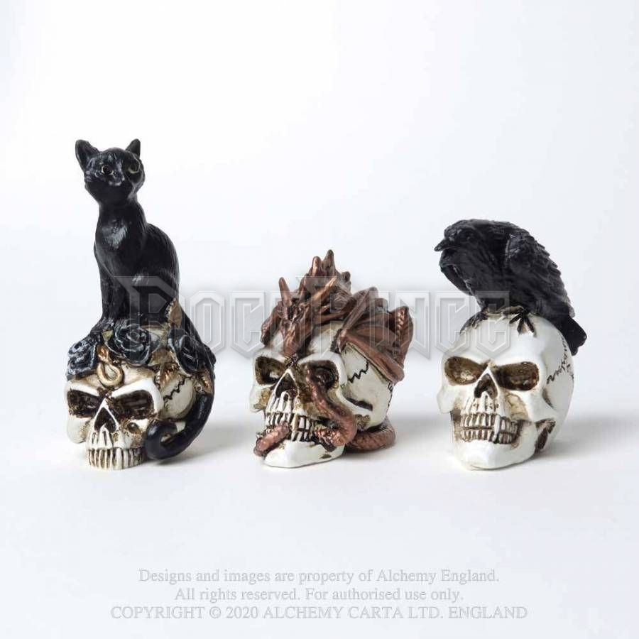 Alchemy - Dragon Keepers Skull - miniatűr koponya VM4