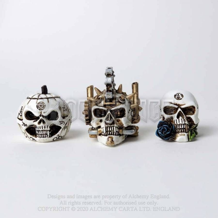 Alchemy - Alchemist Skull - miniatűr koponya VM6