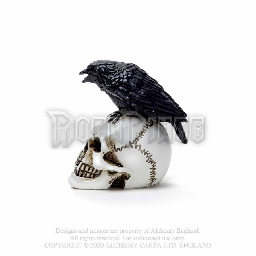 Alchemy - Raven Skull - miniatűr koponya VM7