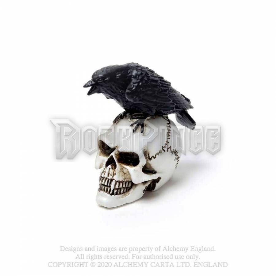 Alchemy - Raven Skull - miniatűr koponya VM7