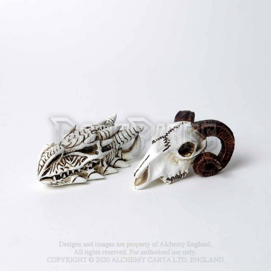 Alchemy - Dragon Skull - miniatűr koponya VM9
