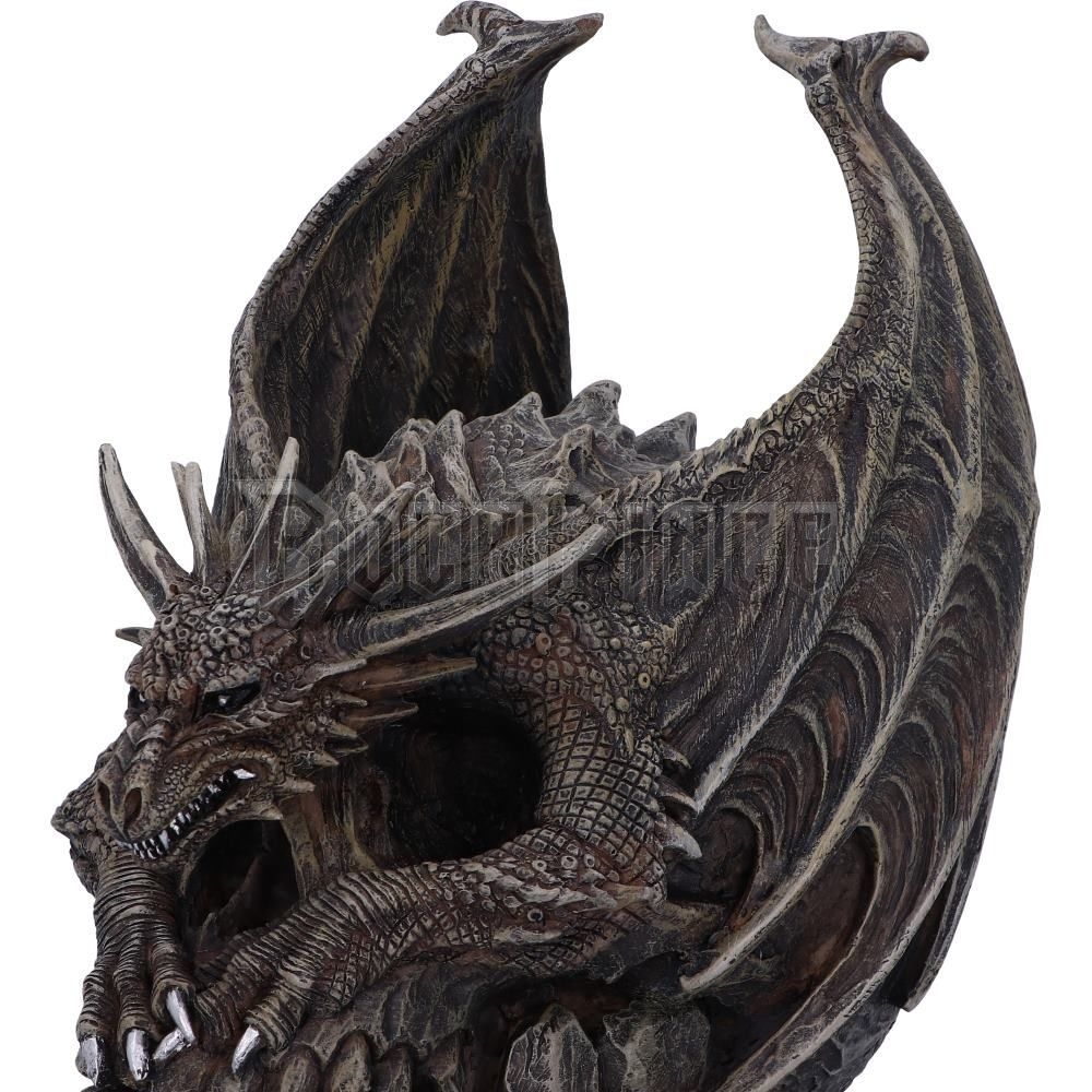 Draco Skull - Gótikus sárkány koponya - B5313S0