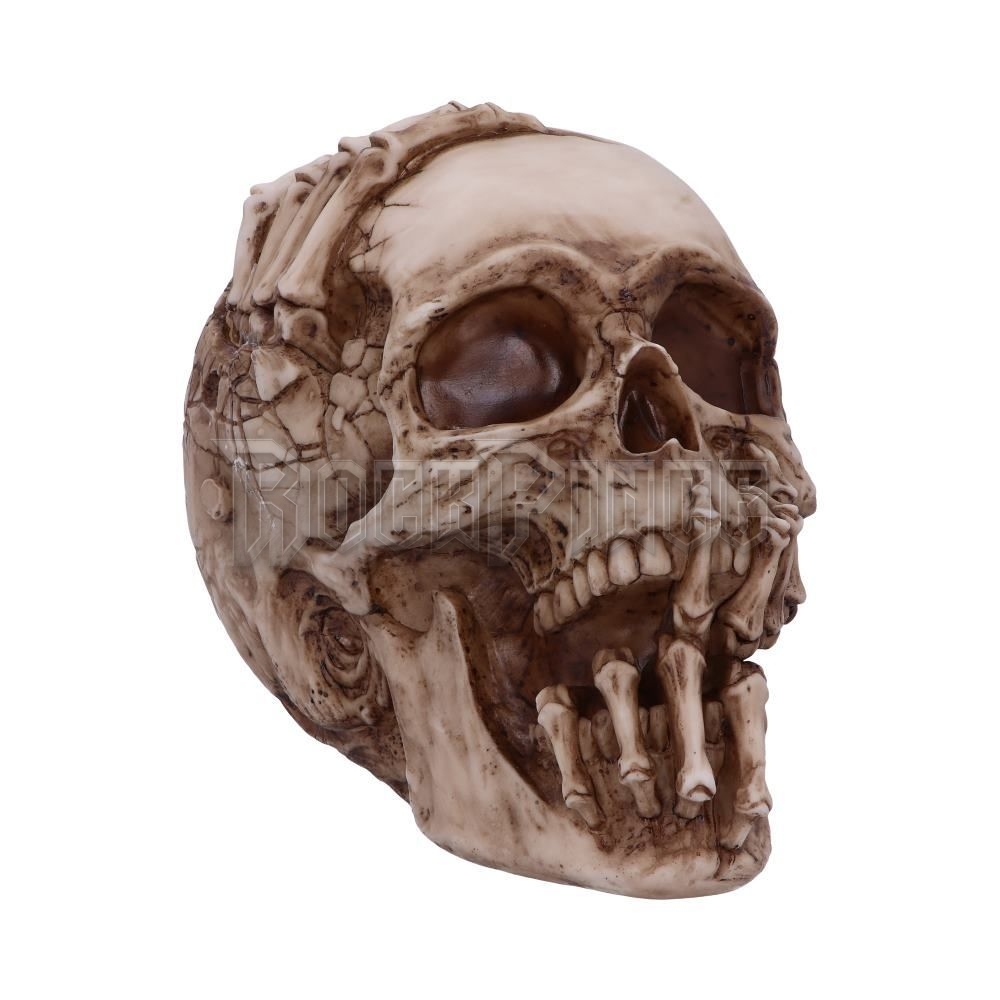 Breaking Out Skull - koponya - B5389S0