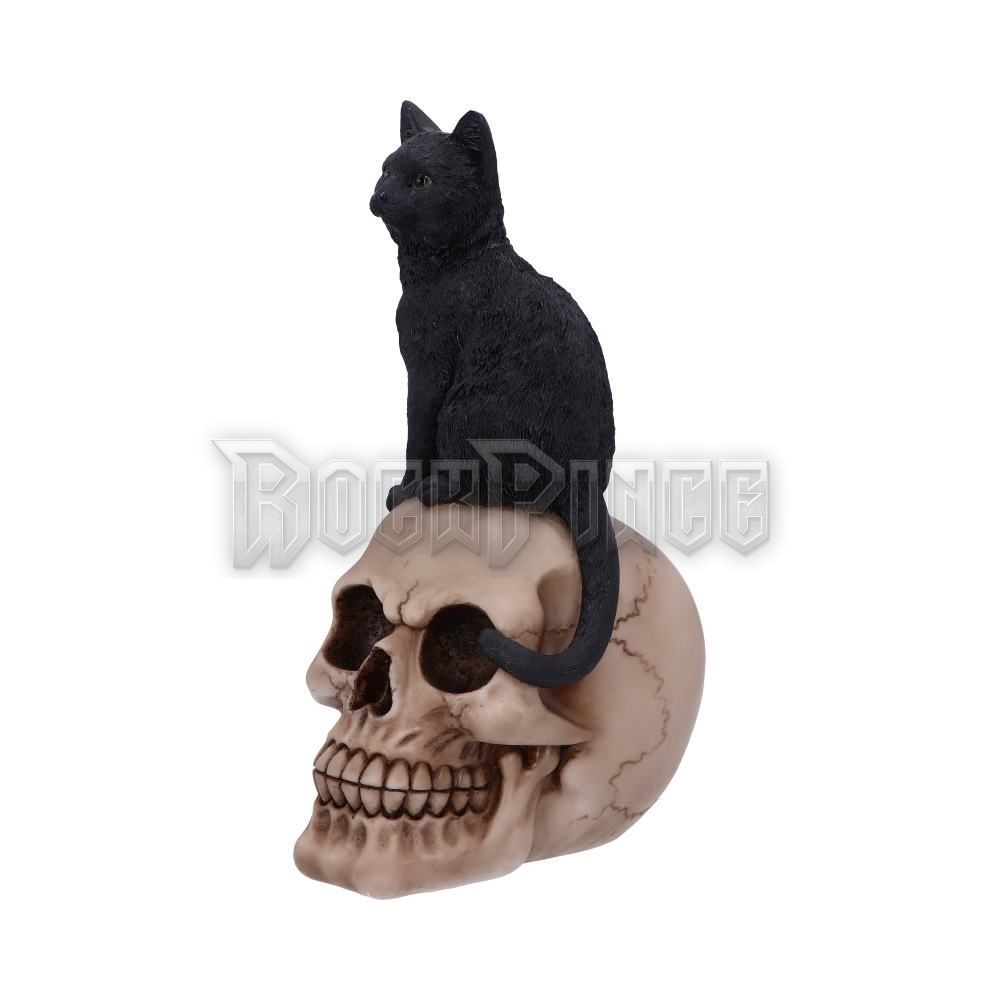 Black Witches - Cat and Skull Figurine - szobor - U5453T1