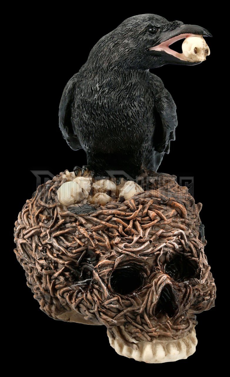 Raven Figurine on Skull - szobor - 839-1517