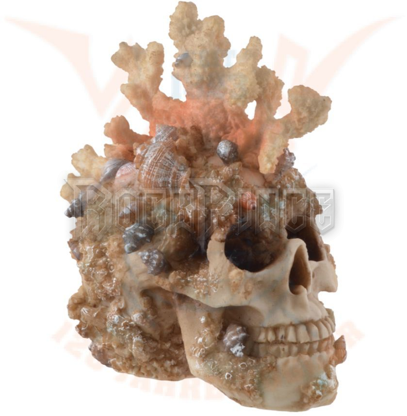 Coral Skull - koponya - 839-3711