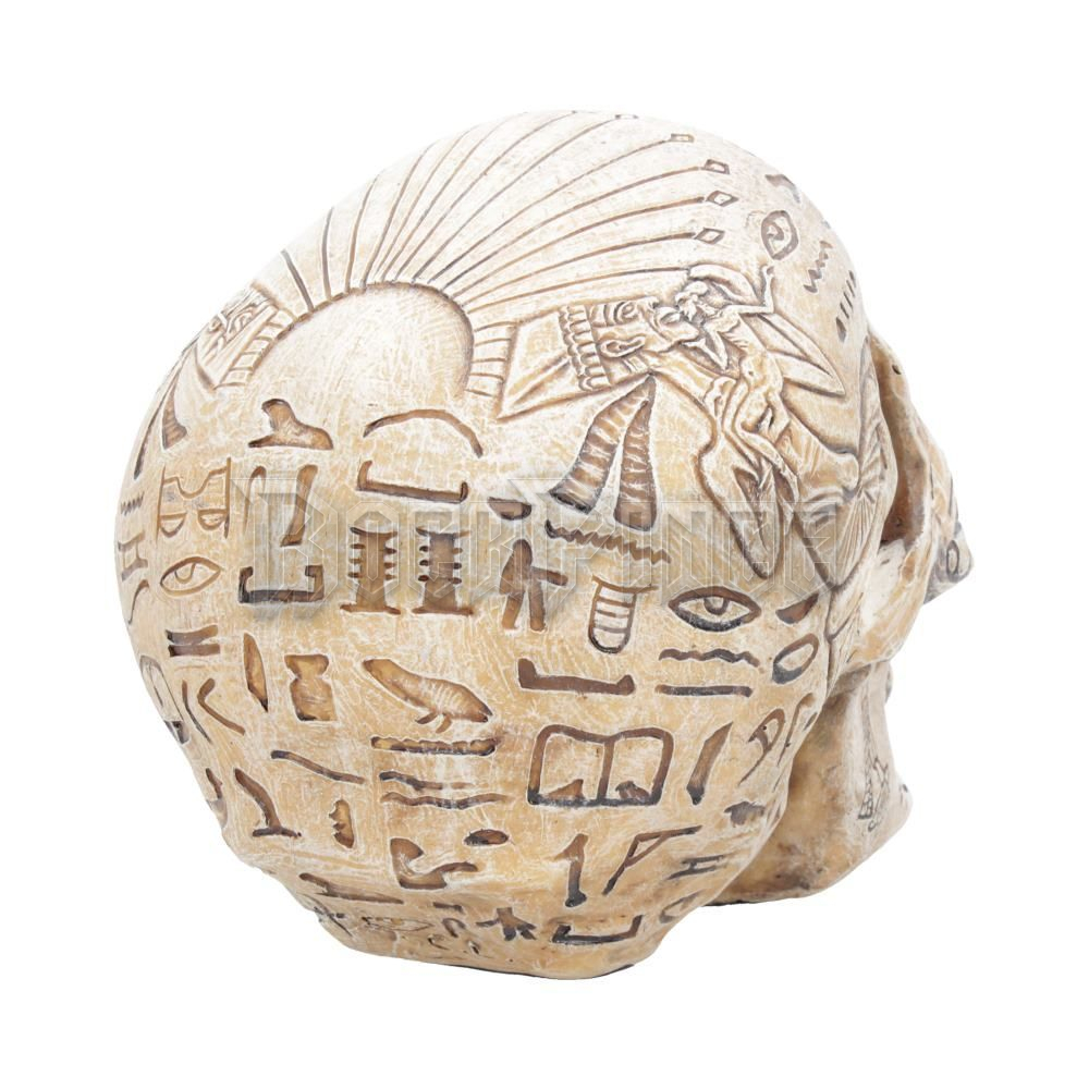 Hieroglyphic Skull - koponya - D4227M8