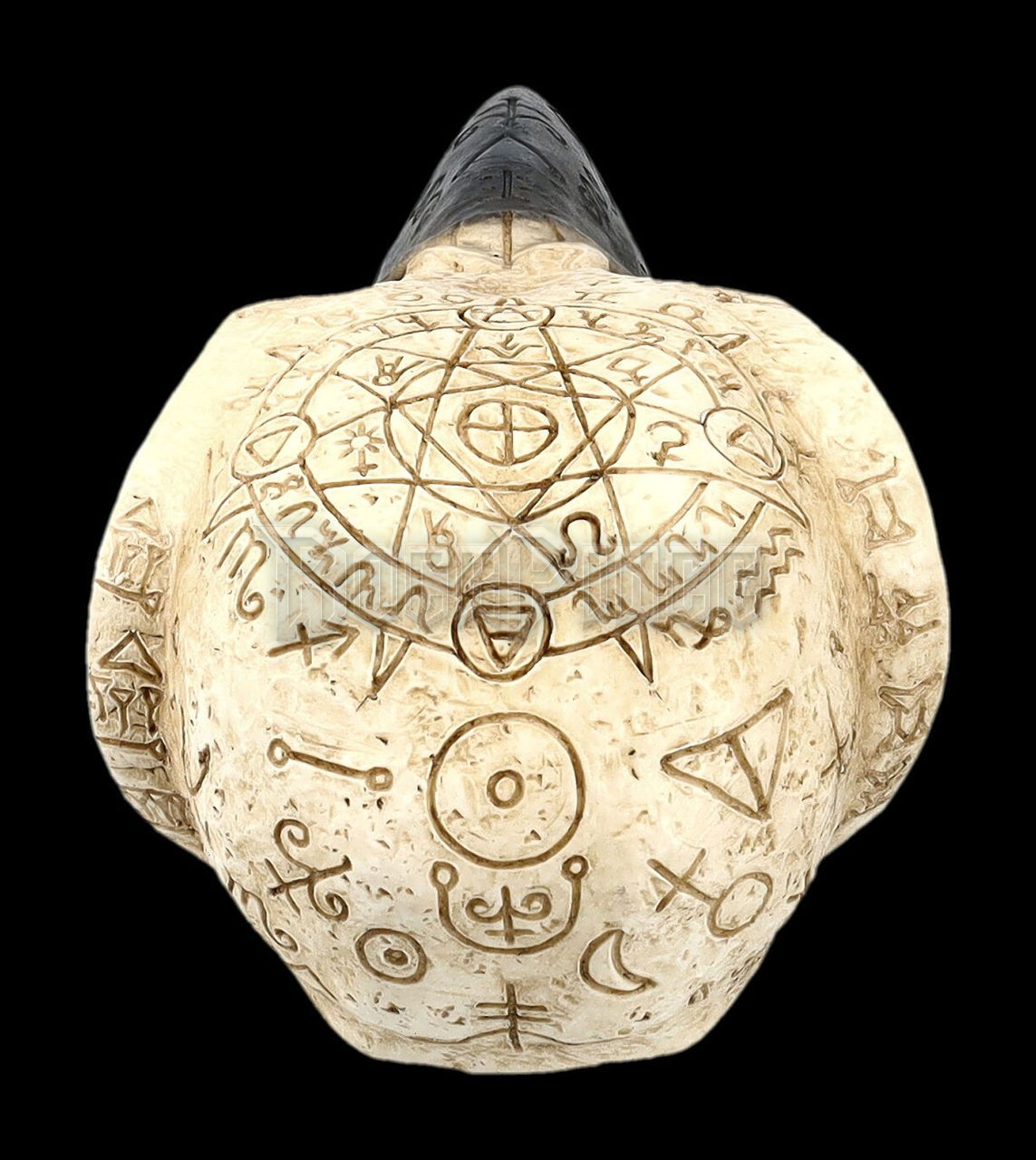 Skull - Raven Skull with Mystic Symbols - 708-7989
