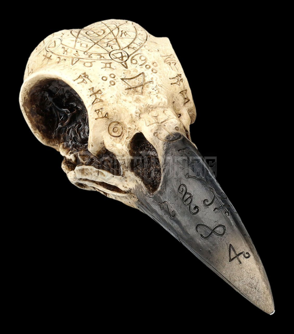 Skull - Raven Skull with Mystic Symbols - 708-7989