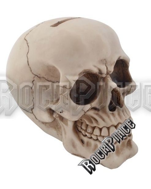 Skull - persely - 816-574